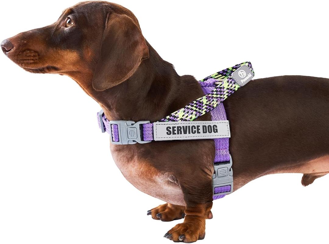 Service Dog Vest, No-Pull Service Dog Harness with 4 PCS Reflective Patches, Dog Vest Harness with Handle, Pet Harness for Small Medium Large Dogs in Training (Purple, S)