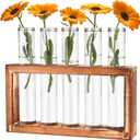 Desktop Glass Plant Propagation Station with 5 Test Tubes in Wooden Stand - Hydroponic Plants Cutting Office Home Decoration and Garden Decor Terrarium (5 Tubes)