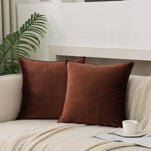 JIAHANNHA Velvet Brown Throw Pillow Covers Pack of 2 Spring Decorative Soft for Couch Sofa Bed Livingroom Office 1818 Inches