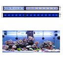 KZKR LED Aquarium Light 60-72 Inch Foldable Adjustable Fish Tank Light Hood Lamp for Freshwater Saltwater Marine Blue and White Decorations Light 5-6ft 150cm - 180cm