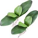 Fnize Faux Orchid Leaves Artificial Phalaenopsis Leaf Bulk 10 Inches 2pcs Real Touch Latex Cymbidium Stems Green Plant
