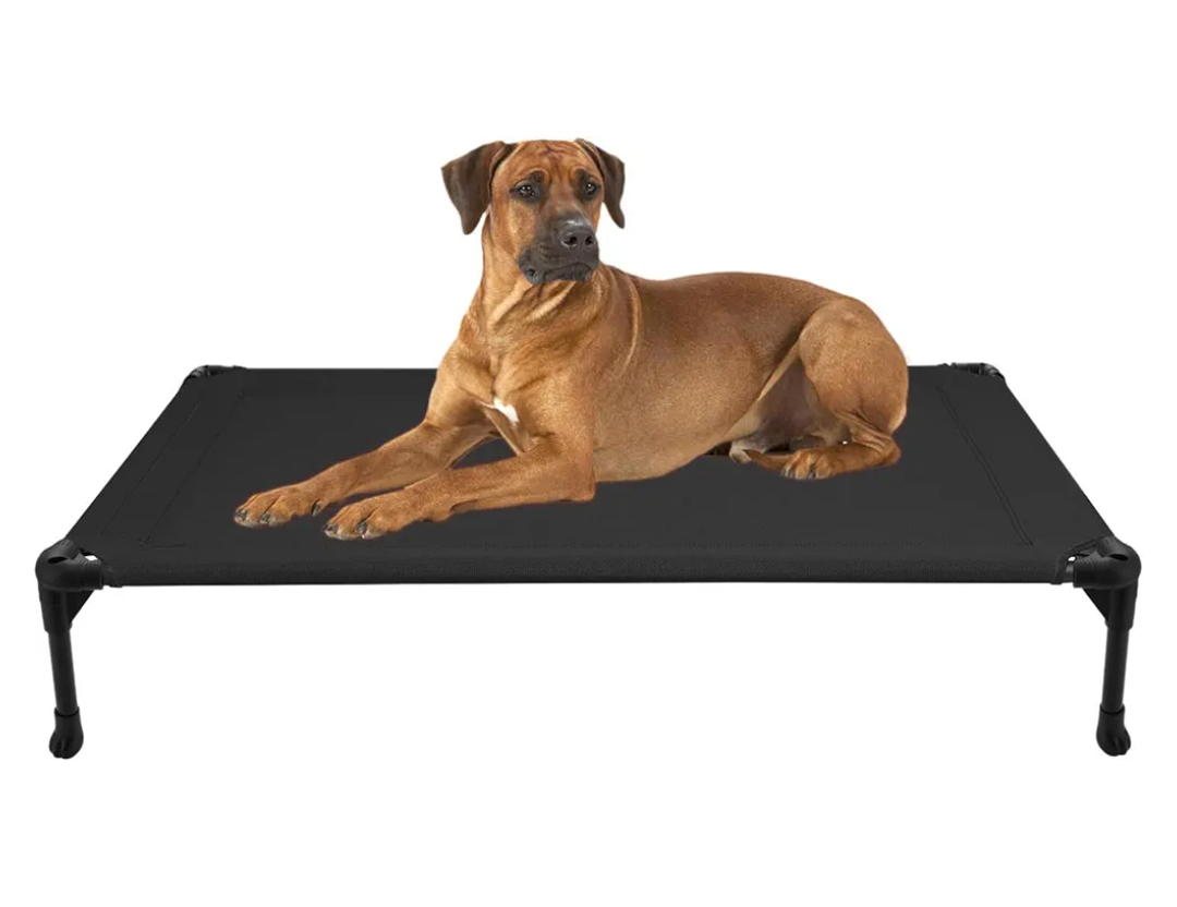 Veehoo Outdoor Elevated Dog Bed Large Sized Dogs, Large Cooling Raised Dog Cots Beds Training Platform Off Ground Hammock with Breathable Mesh, No-Slip Feet, 42"x30", Black Veehoo Outdoor Elevated Dog Bed Large Sized Dogs, Large Cooling Raised Dog Cots Beds Training Platform Off Ground Hammock with Breathable Mesh, No-Slip Feet, 42"x30", Black
