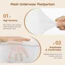 Mesh Underwear Postpartum 20 Counts Disposable Panties Carer Maternity or Incontinence Briefs Stretchy, Lightweight Large