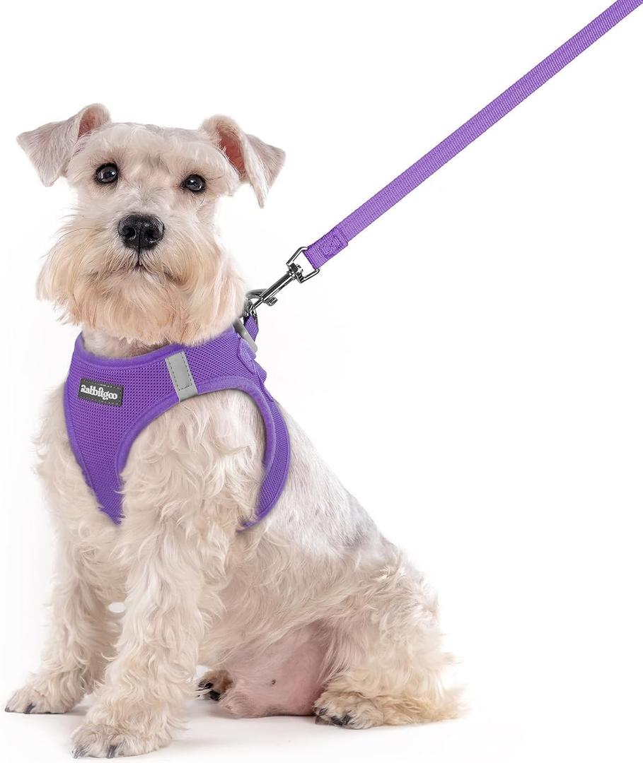 rabbitgoo Dog Harness Small Sized and Leash Set, Step in Soft Light Puppy Vest, Breathable Mesh Pet Harness, Reflective for Outdoor Safe Walking, Purple XXL 