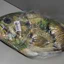 Threehoney 32" Largemouth Bass Fish Stuffed Plush Fish Pillow Animal 3D Giant Soft Bass Funny Pillow for Home Decoration Valentine's Day Gift