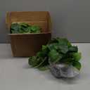 alyptus Fake Pothos Hanging Plants  33" Set of 2 Faux Ivy Vines with Pots Realistic Silk Devils Ivy for Indoor Dcor Low Maintenance Artificial House Plants for Home Bathroom or Office - Green