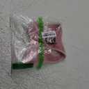 Best Pet Supplies Voyager Step-in Air Harness - All Weather Mesh, Reflective, No Pull Harness for Dogs, Cats - Secure with Hook & Loop Fastener, Buckle, Double D-Rings - Pink, M