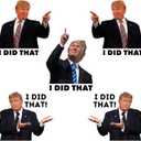 I Did that Trump Stickers, 100 Pcs Trump I Did that Stickers, Funny I Did that Stickers, Mixed 5 Different Patterns, 3" Large Size (100 Pcs)