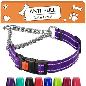 CollarDirect Martingale Dog Collar with Stainless Steel Chain and Quick Release Buckle - Reflective Collar for Large, Medium, Small Dogs - Purple, Medium (Neck Size 14"-17")