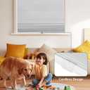 SEEYE No Drill Cordless Cellular Shades, Blackout Honeycomb Blinds for Indoor Window,Thermal Insulated Noise Reduction, Easy Install for Bedroom, Living Room, Office, White (33" W x 64" H)