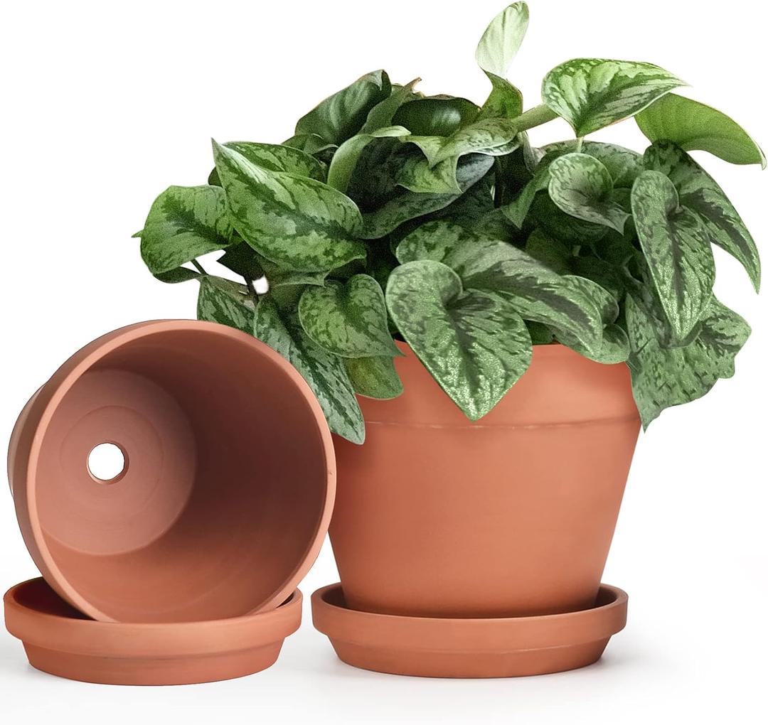 INGOFIN Terracotta Pots Set with Saucer - 2-Pack Ceramic Clay Planters with Drainage Hole, Garden Flower Succulent Pots with Tray for Indoor Outdoor Plants, 8 inch, Set of 2, 8/8 inch -2 pcs