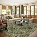 Washable Area Rugs for Living Room: 8x10 Rug Boho Vintage Rugs Stain Resistant Non Slip Low Pile Lightweight Soft Carpets for Bedroom Kitchen Dining Room Nursery Kids Room Farmhouse Home Office (Green and Beige)