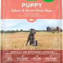 Open Farm, Ancient Grains Dry Dog Food for Puppies, Protein-Rich & Nutrient Dense, 90% Animal Protein Mixed with Non-GMO Fruits, Veggies and Superfoods, Salmon Recipe for Puppy, 22lb Bag (22 Pound (Pack of 1))
