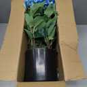 FOTEEWL Artificial Hydrangea Flower Topiary Trees - 2 Sets Faux Silk Flower Potted Plant, UV Resistant Fake Outdoor Hydrangea Bush for Front Door, Farmhouse,Garden, Porch Decor (Blue)