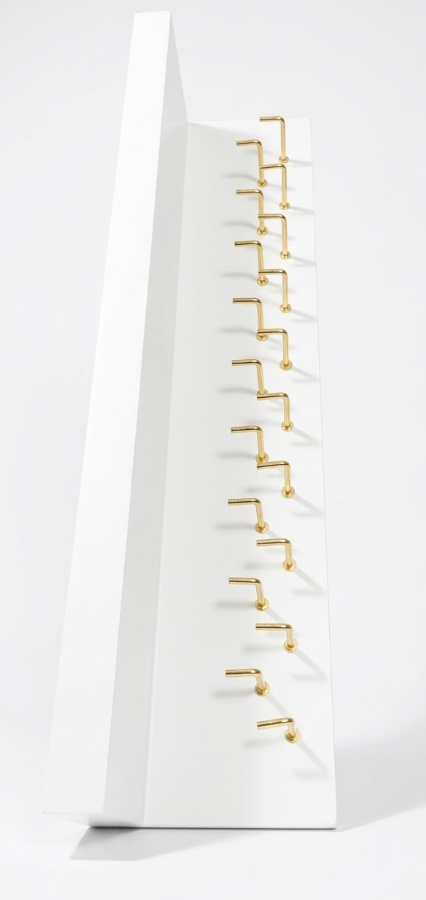 EVERMORE Medal Hanger Display and Trophy Shelf with Hooks  Wooden Medal Holder for Wall Mount Ribbon Display, Trophy Display Shelf for Gymnastics, Soccer, Running Race Medals Awards Rack