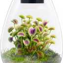 Desktop Glass Terrarium with Grow Light (H:7.8" D:6.7"), for Succulent, Moss, Miniature Gardening Landscape, Betta Fish Tank, Indoor Plant Growth, Office Home Decoration, Plant Lovers Gifts