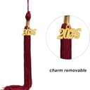 SAMDEEMI Unisex Adult Matte 2026 Graduation Gown and Cap Set with Tassel for High School and College Bachelor 12 Colors (Red)