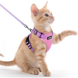 rabbitgoo Cat Harness and Leash for Walking, Escape Proof Soft Adjustable Vest Harnesses for Cats, Easy Control Breathable Reflective Strips Jacket, Pink & Purple, XXS rabbitgoo Cat Harness and Leash for Walking, Escape Proof Soft Adjustable Vest Harnesses for Cats, Easy Control Breathable Reflective Strips Jacket, Pink & Purple, XXS