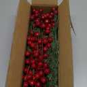 Watayo 60 Pcs Christmas Artificial Pine Branches with Red Berry Stems, 10.5" Faux Evergreen Norfolk Pine Cypress Leaves Stems, Fake Foliage Pine Needles Picks for DIY Craft Garland Home Decor