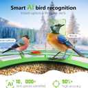Bird Feeder with Camera, AI Birds Identification, Solar Powered, Live View, Instant Alerts, Capture Bird Videos, 2K HD Camera, Ideal Gift for Family and Enthusiasts (Green)