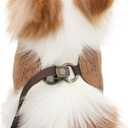 LOPHIPETS Lightweight Dog Harness with Leash Set for Small Dogs Chihuahua Yorkie Puppy Cat-Coffee/S