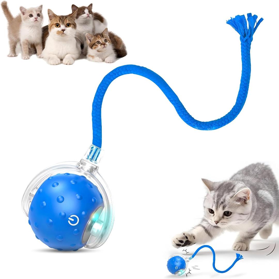 Tiny Fetch Dog Toy, Tinyfetch Interactive Dog Cat Toys Balls with Birdsong, 360 Smart Automatic Rolling Electric Dog Ball Toy, Fast Moving Balls Toys for Pets (Blue)
