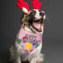 Happy Birthday Dog Bandana Dog Birthday Bandana for Dogs Birthdays Gift Party Supplies Pets Scarf for Small Medium Dogs & Cats