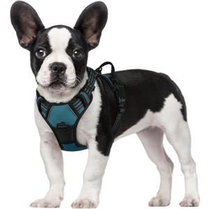 Rabbitgoo Dog Harness No Pull with 2 Leash Clips, Adjustable Soft Padded, Reflective Oxford No Choke Pet Vest with Easy Control Handle for Small Dogs, Blue Coral, S