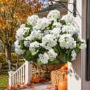 Artificial Geranium Fake Flowers for Outdoors Decoration, 6 Bundles Silk Geraniums White Flower UV Resistant Look Real Faux Plants for Front Door Garden Porch Planter Patio Balcony Yard Indoor Home