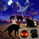Pack of 3 Halloween Yard Signs with Lights, 4 PCS Black Cats Outdoor Decorations, Trick or Treat Yard with Stakes, Corrugate Waterproof Halloween Thickened Themed Lawn Decorating for Pathway, Garden, Outside