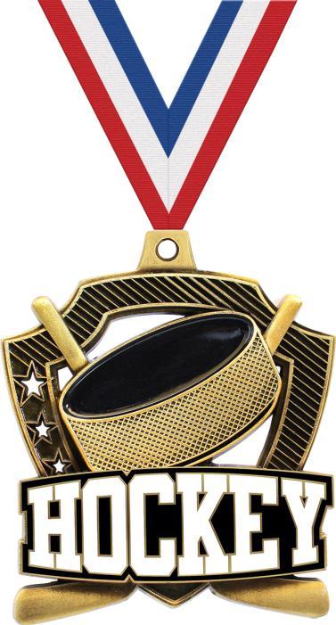 Trnayi 20 Pcs 10/20 /30/40 Pcs Award Medals Bulk Sports Medals with Neck Ribbons 2.4 Inch Winner Award Trophy Prize Gift for Sports Themed Party Favors Tournaments Match (Hockey)