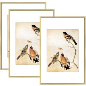 8x12 Picture Frame Set of 3, Brass Aluminum Metal Photo Frames with HD Glass, Fits 6x8 with Mat or 8 x 12 without Mat, Display for Wall