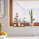 Wood Desktop Plant Stand Indoor Small Windowsill Flower Shelf Tabletop Plant Shelf Holder Display Rack for Succulent Herb in Living Room Office