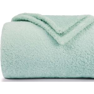 2 x Plush Fleece Throw Blanket for Couch and Bed, Fluffy Fuzzy Cozy Lightweight Soft Blankets All Season Use (40x50 Inches,Aqua)