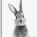 2 x daktenn Bunny Wall Art Lovely Rabbit Posters for Baby Room Easter Artwork Nursery Wall Decor Easter Wall Art Rabbit Pictures Wall Decor Bunny Pictures for Bathroom Bedroom 14x14 Inches