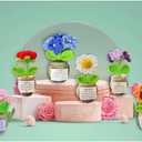 Handmade Crochet Flower with Support Card for Inspirational Gift with Encouragement Card for Office, Desk Decor or Home Decoration (Set of 6)