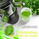 Cold Press Juicer Machines Slow Masticating High Yield Pulp separation Can make fruit ice cream Multi-Functional for Home Commercial Use Wide Feed Chute (Black)