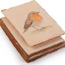 Wanderings Handmade Antique Deckle Edge Blank Cards - 4"x6" Package of 50 - Mixed Media Cards for Announcements Invitations Crafts - Thick Deckled Edge Paper 150 GSM Recycled Paper (A6)