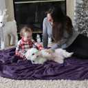 Bedsure GentleSoft Fleece Blanket Twin Size Purple - 300GSM Lightweight Plush Fuzzy Cozy Soft Warm Blanket for Bed, Sofa, Couch, Travel, Camping, 60x80 inches