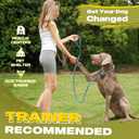 Fida Durable Slip Lead Dog Leash, 6 FT x 1/2" Heavy Duty Loop Comfortable Strong Rope Lead for Large, Medium Dogs, No Pull Pet Training with Highly Reflective, Blue