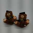 Graduation Bear Class of 2025, 10" Tall, Pack of 2