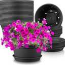 10 Inch 20 Pack Round Plastic Plant Pots Seedlings Nursery Pots Plastic Plant Flowerpot with Drainage Holes and Saucer Decor Garden Indoor Planters for Plants Home Garden Outdoor Planters