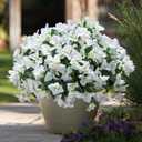 Ivydale Bougainvillea Artificial Flowers for Outdoors Spring Decor, 4 Bundles White Fake Outside Flowers Silk UV Resistant Realistic Faux Plants for Outdoor Planters Porch Patio Window Garden