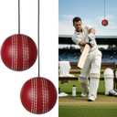 3 Pcs Cricket Hanging Ball PU Cricket Practice Ball with Cord for Outdoor Indoor Practice Hand Eye Coordination Easy to Hang Enhances Batting Skills Family Fun Honing Skills