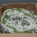 24 Inch Artificial White Forsythia Flower Wreath, Silk & Paper Bridal Floral Wreath for Front Door, Elegant Winter Wedding & Spring Summer Decor, All Season Farmhouse Porch Wall Decor