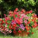 Powbrace Artificial Flowers Outdoor Fake Plants, Faux Silk Flowers Plastic Plants for Outdoors Indoor Outside Front Porch Hanging Planter Window Box Garden Home Spring Decoration, 14 Pack (Mix)