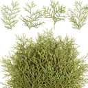 HyDren 150 Pcs Christmas Preserved Real Pine Branches Leaves Greenery Pine Picks Natural Dried Greenery Plants Twigs Wreath Decorations for Christmas Home Decor Indoor Outdoor (4-5 Inches)