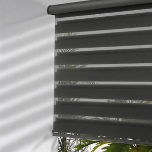 MYshade Cordless Zebra Blinds with Free-Stop Function - Dual Layer Light Filtering & Privacy Sheer Shades for Day and Night - Easy Install Window Shades for Home, Living Room, 30.5" W*72" H,Black