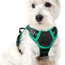 rabbitgoo Dog Harness No Pull with 2 Leash Clips, Adjustable Soft Padded, Reflective Oxford No Choke Pet Vest with Easy Control Handle for Puppy, Black & Turquoise, XS