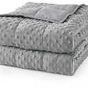 Weighted Blanket for Adults Queen Size 15 lbs, Soft Cooling Heavy Minky Blanket for Sleep, Washable Throw Blanket with Glass Beads, 60 x 80 Inches, Grey